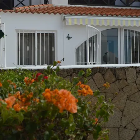 With Big Terrace, Playa De Las Americas * Arona (Tenerife)