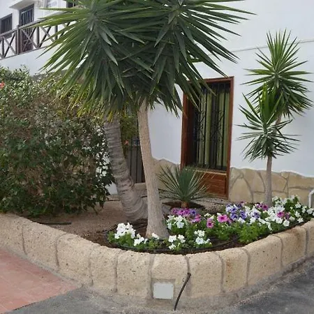 With Big Terrace, Playa De Las Americas *