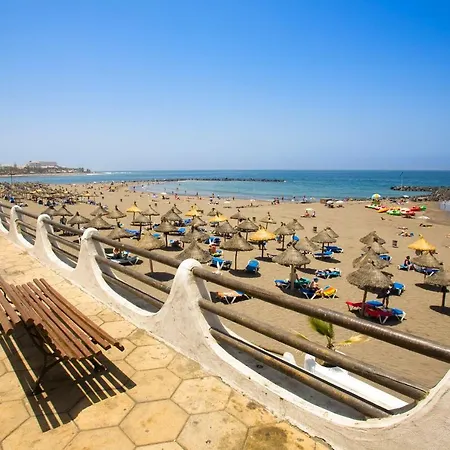With Big Terrace, Playa De Las Americas Arona (Tenerife)